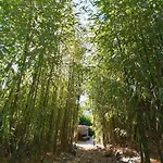 La Magnanerie De Camias Bed & Breakfast
